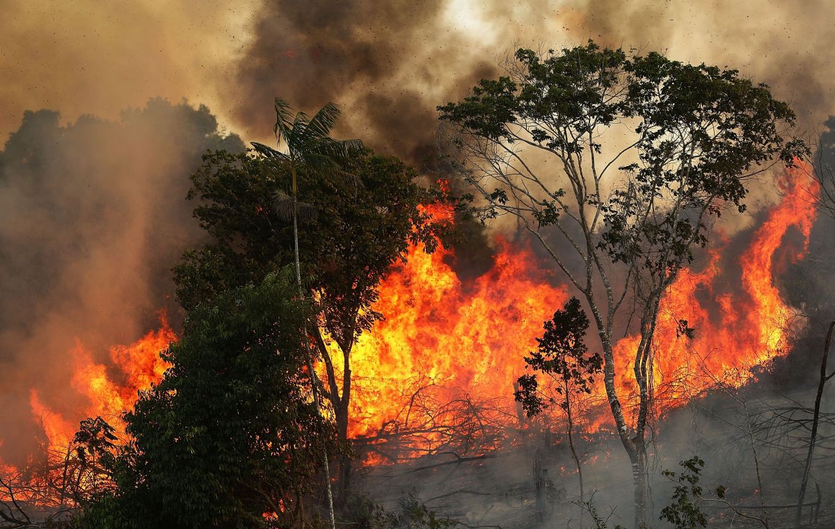 Según el INPE, ha habido 74.155 incendios en Brasil en lo que va del año, la mayoría de los cuales estallaron en el Amazonas. Eso representa un salto asombroso de más del 80% respecto al año pasado.