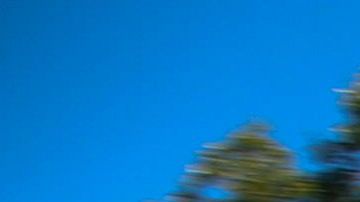 Johnny Depp y su ex esposa Amber Heard