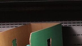 Salario mínimo Comprar verduras