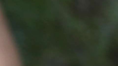 Dicen que fue víctima de traficantes de personas