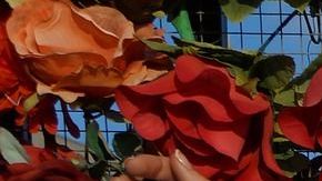 Hay signos que destacan por contagiar su alegría.