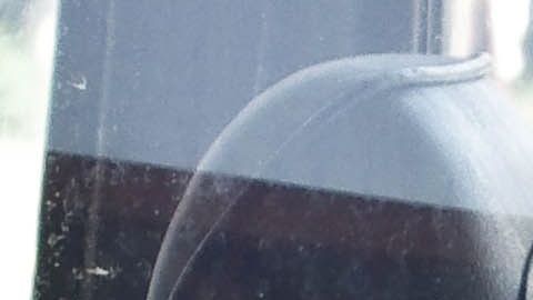 En un corto tiempo, el canino con el cuerpo sobrecalentado puede sufrir daños críticos en el cerebro, corazón, hígado, riñones y sistema nervioso