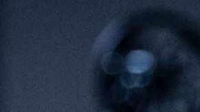 Angelique Boyer y Andrés Palacios protagonizan "Imperio de Mentiras".