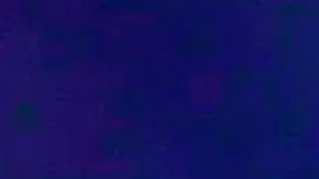 Imagen de la incautación proporcionada por las autoridades.