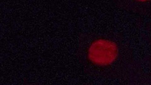 Jennifer López en medio de la polémica.