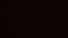 kendall jenner mustang