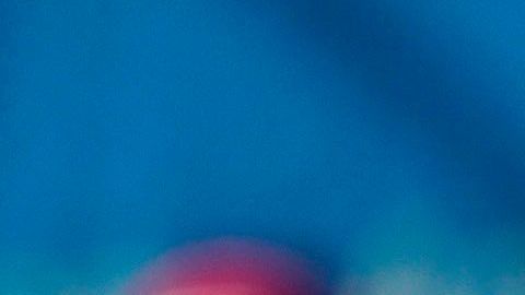 Ronald Koeman, director técnico del FC Barcelona.