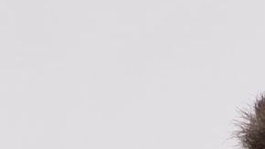 Luis Ernesto Franco y Camila Sodi regresan a 'Falsa Identidad 2'.