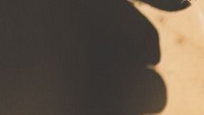 El otoño llega con una energía especial.