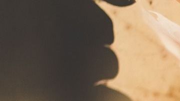 El otoño llega con una energía especial.