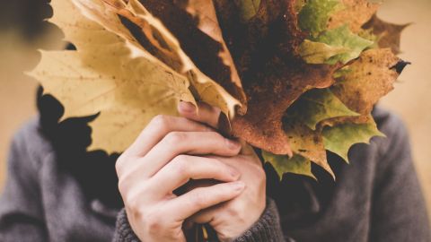 El otoño llega con una energía especial.