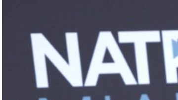 María Elisa Camargo