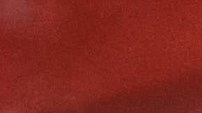 Perro French bulldog. Imagen ilustrativa.