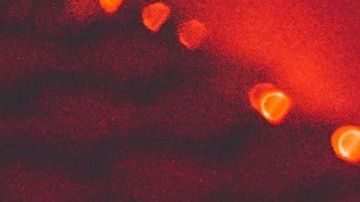 halloween decoraciones amazon