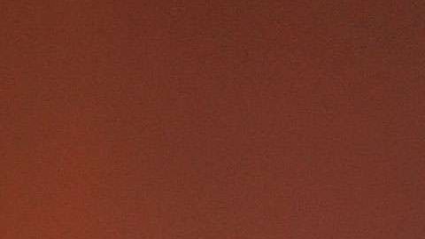 Pablo Montero, cantante mexicano.