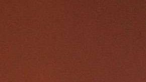 Pablo Montero, cantante mexicano.