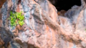 Puedes ir a sitios como Yosemite, Sequoia, Joshua Tree, Saguaro, y Big Bend.