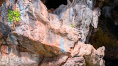 Puedes ir a sitios como Yosemite, Sequoia, Joshua Tree, Saguaro, y Big Bend.
