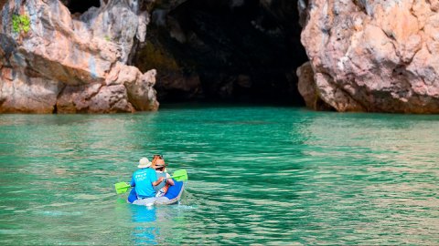 Puedes ir a sitios como Yosemite, Sequoia, Joshua Tree, Saguaro, y Big Bend.