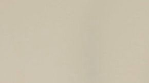 Es necesario tomar diversas medidas antes de hacer uso de un calentador para nuestras mascotas.