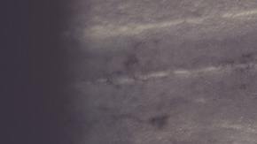 Varias personas los señalan de cortar todo contacto con las personas que les dan los animalitos.