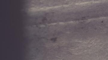 Varias personas los señalan de cortar todo contacto con las personas que les dan los animalitos.