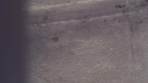 Varias personas los señalan de cortar todo contacto con las personas que les dan los animalitos.