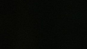 Cada signo vive distinto la soltería.