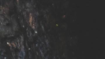 Nadie daba crédito del colosal animal.