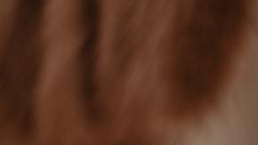 No se habían podido casar por cuestiones económicas.