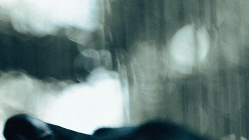 El perro tiene varios problemas de salud.