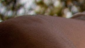 Hay signos que son muy honestos.