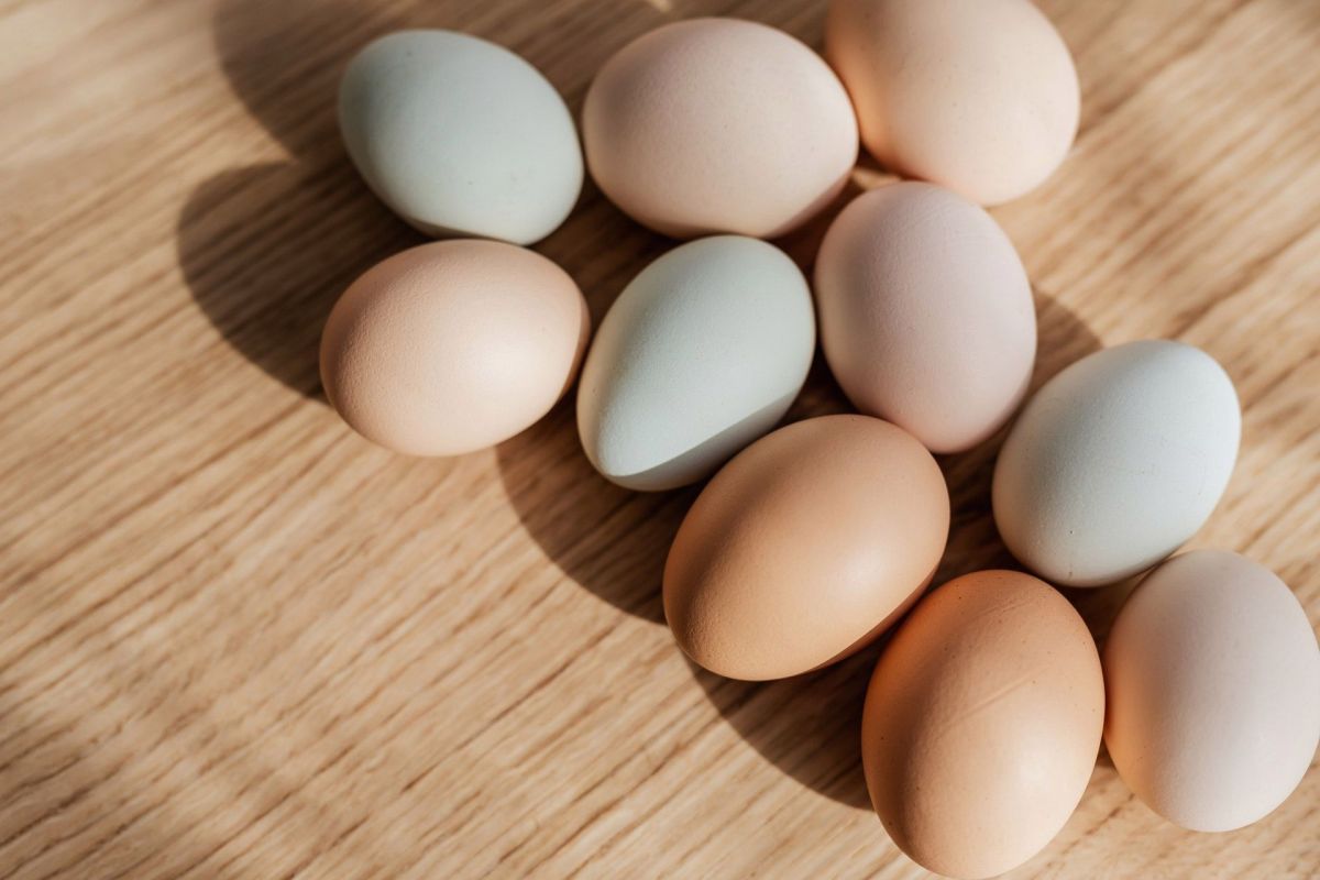 Integrar el consumo de un huevo en la dieta diaria es completamente seguro para las personas con afecciones cardiovasculares y diabetes.