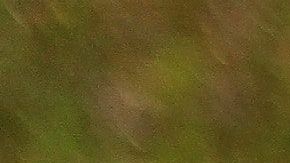 El amor puede llegar en una persona de tu mismo signo.