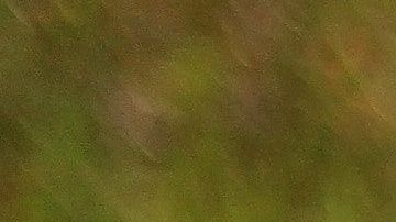 El amor puede llegar en una persona de tu mismo signo.