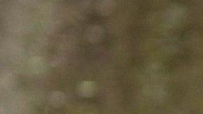 No contaba con la astucia de la tortuga.