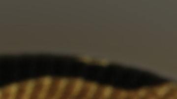 El joven quedó horrorizado al descubrir lo que había en el inodoro.