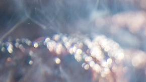 La carne a la parrilla es deliciosa pero no es muy recomendable consumirla así.