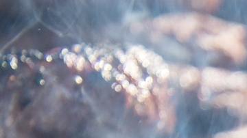 La carne a la parrilla es deliciosa pero no es muy recomendable consumirla así.