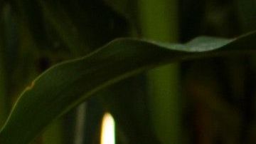 Las señales están ahí, solo hay que saber identificarlas.