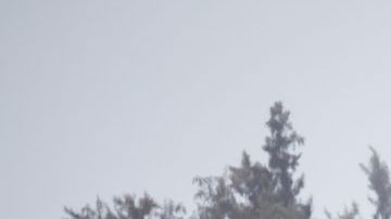 El primer vuelo comercial desde Oakland con dirección Honolulu, despegó este domingo.