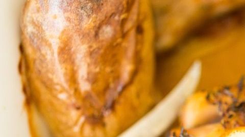 pollo