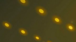 Los Premios de la Radio de Estrella TV