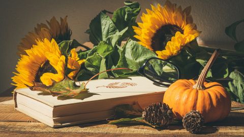 Alimentos de otoño
