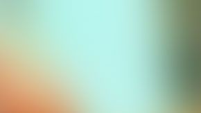 La policía está pidiendo la colaboración de la comunidad para encontrar a Randi Canion.