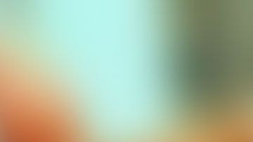 La policía está pidiendo la colaboración de la comunidad para encontrar a Randi Canion.