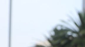 Un "cachito" para la rifa del avión presidencial.