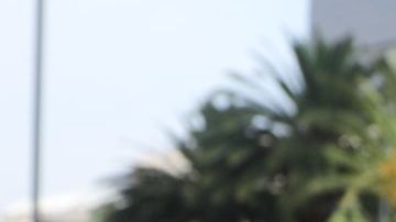 Un "cachito" para la rifa del avión presidencial.