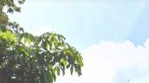 Exterior del hotel de Miami Springs donde hubo la redada.