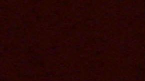 Ruth Bader Ginsburg.